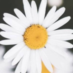 Meet your Posher, Arianna